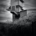 Steven Dale (@stevedalephotos) Twitter profile photo Steven Dale (@stevedalephotos) Twitter profile photo