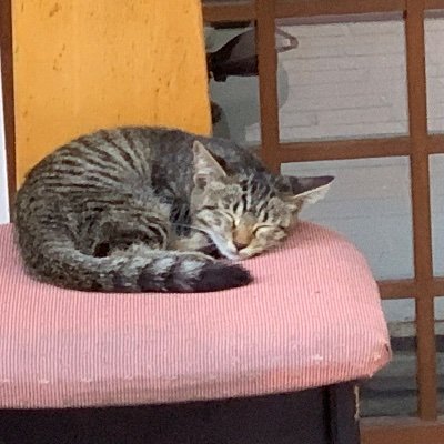 I1iUSnvr8gMLRYh's profile picture. 