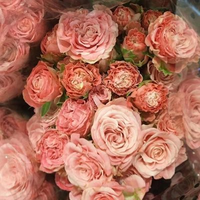 twfaalmary11's profile picture. ..