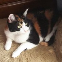 takako (@takako32357874) 's Twitter Profile