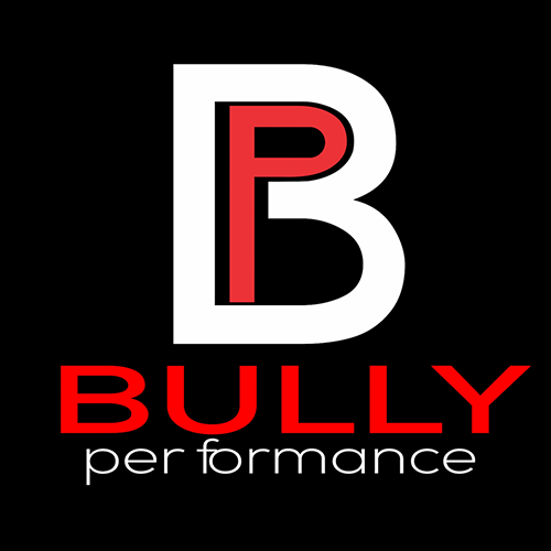 Bully Performance Audio 🔊🔊🔥🔥 We're a Car Audio brand based out of Houston specializing in Amps and Speakers!