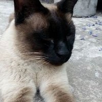 @ RosarioDuke15 (@rosarioduke15) 's Twitter Profile