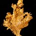 Bryn Mawr Mineral Collection (@brynmineral) Twitter profile photo Bryn Mawr Mineral Collection (@brynmineral) Twitter profile photo