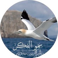 ســمــو الــفــكــر(@smwalfekr) 's Twitter Profile Photo