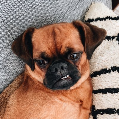 zessfr's profile picture. 