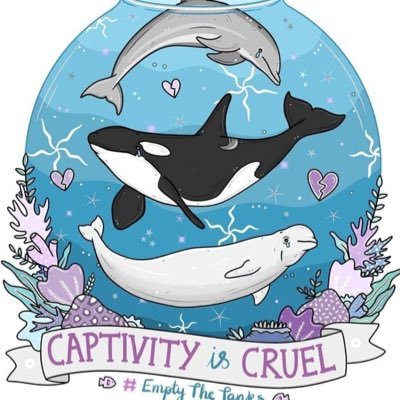 HeatherjPalmer1's profile picture. Animal lover YouTube Netflix Amazon shopping fan lives in the West Country Norwich city Liverpool supporter 😀 love cycling walking my Dog 🐶 Keto Diet 😁