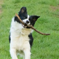 Harry Berks (@harryberks) 's Twitter Profile Photo Harry Berks (@harryberks) 's Twitter Profile Photo