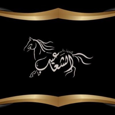 👑 احدى قبائل بني الحارث ( جمرة العرب ) بمحافظة ميسان 👑