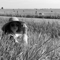 Emily Chen-Newton (@chen_newton) 's Twitter Profile Photo