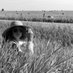 Emily Chen-Newton (@chen_newton) Twitter profile photo Emily Chen-Newton (@chen_newton) Twitter profile photo