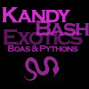 KandyBash Exotics - UK based Quality Boa & Royal Python breeders.