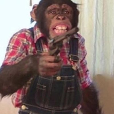 cheweduptaco's profile picture. i be makin music and shit