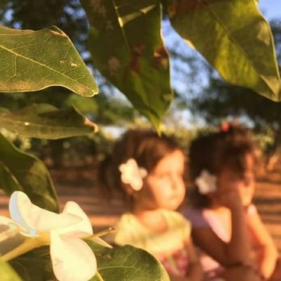 Bras. nordestina, casada, cristã, dona de casa, mãe, avó e professora vocacionada. Mulher realizada pessoal e profissionalmente. Para DEUS tudo é possível!!!