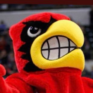 Nurse and Die Hard Cardinal fan. We watching or naw? #GoCards