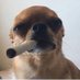 MRMOUSE (@omf5409) Twitter profile photo MRMOUSE (@omf5409) Twitter profile photo