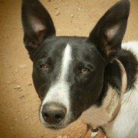 Edu (@edu___r) 's Twitter Profile