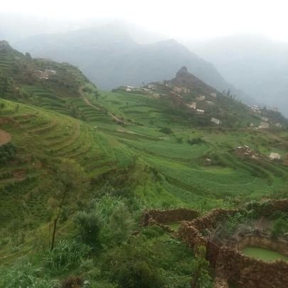 AliBabayemen5's profile picture. ‏‏يماني وافتخر