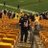 JR_Steelers's profile image