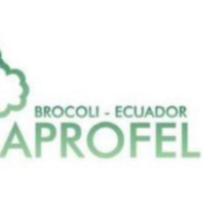 Asociación de Productores Ecuatorianos de Frutas y Legumbres (APROFEL)