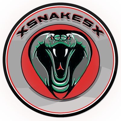 Snakes in the Paint