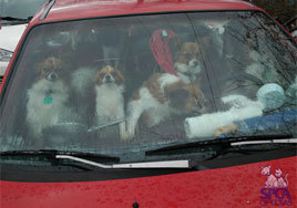 kravw's profile picture. Media Professional, Human Resources Professional, reformed world traveler