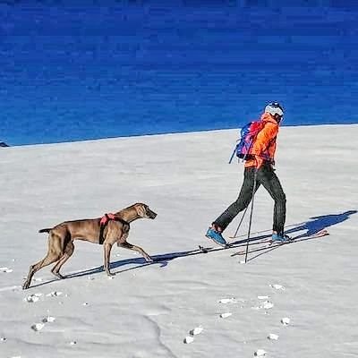 Amant del Alpinisme l'esqui de muntanya les Ultra Trails Bici de Carretera i com no, la Meteorologia.