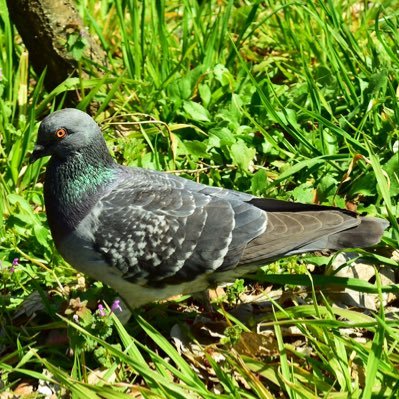 Bec1685's profile picture. 