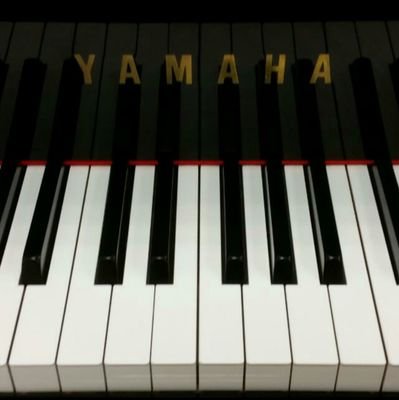 najidem's profile picture. Tech Savvy | Pianist 🎹