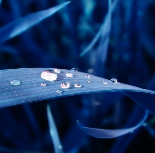 pearls of rain are little reminders & wisdoms on life, living (& beyond) from kids, adults, families and friends with cancer or other life-threatening illnesses