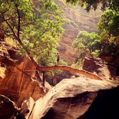 Abdulgallardo's profile picture. 