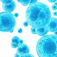 MembranesTheme's profile picture. MEMBRANES is a research network at the Dept. of Biomedicine, HEALTH, Aarhus University, consisting of more than 25 group leaders.