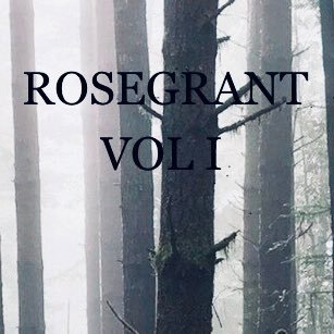 💀☠️Writer of horror—Rosegrant Vol I and II Occult #Witches #Possession #Spells #Demons #Psychological Thriller #horror #amwriting ☠️💀