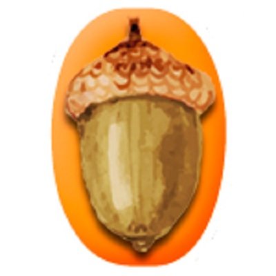 GrandeBellotada's profile picture. Siembra de 25 millones de bellotas en la Península Ibérica #LaGranBellotadaIbérica
Semeando 25 milhões de bolotas na Península Ibérica #AGrandeBolotadaIbérica