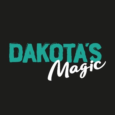 DAKOTA’S MAGIC Es una banda de Alt-Pop formada por Lu Garibay y Nino Samanic, decidieron crear su propia propuesta musical en 2017.
