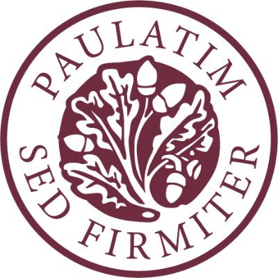 BlackHawkins3's profile picture. 