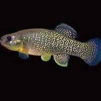 SchulteLab (@lab_schulte) 's Twitter Profile Photo SchulteLab (@lab_schulte) 's Twitter Profile Photo
