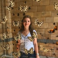 Charlotte Howard (@charl_howard) 's Twitter Profile Photo