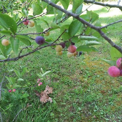 momofcraziness's profile picture. 