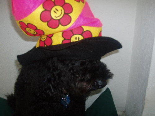 JLev88's profile picture. Well behaved women rarely make history ~ Margaret Thatcher