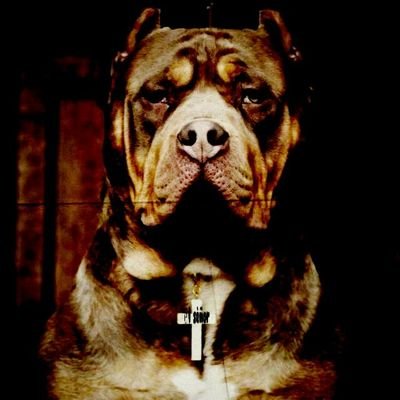 Joukov_kov's profile picture. SbHF6; Иллюзия бессмертия