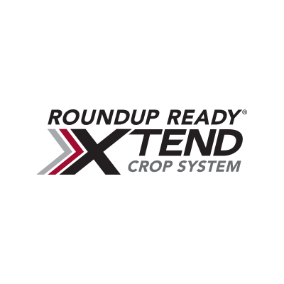 RRXtend Profile Picture