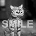 - (@zzz113b) Twitter profile photo - (@zzz113b) Twitter profile photo