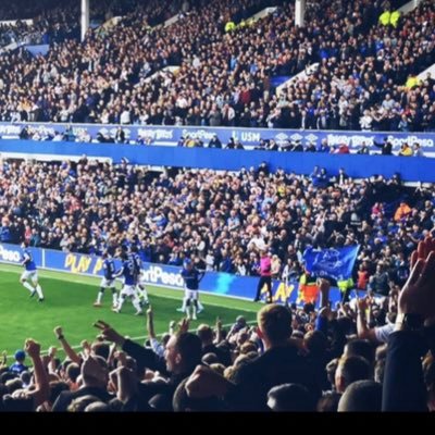 simonovre's profile picture. Norwegian blue.