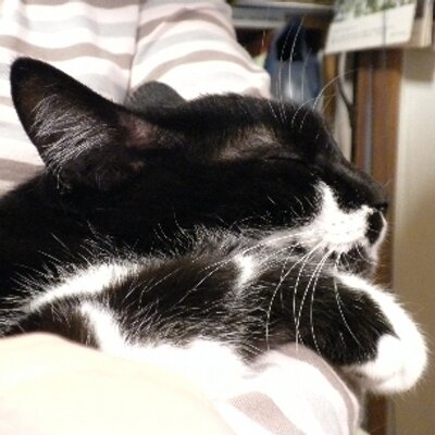 六青みつみ 鳴けない小鳥と贖いの王2 発売中 Roku Mitsumin Twitter 六青みつみ 鳴けない小鳥と贖いの王2 発売中 Roku Mitsumin Twitter