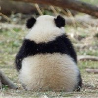 烂·痞 (@yourdaye) 's Twitter Profile