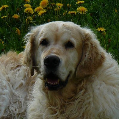 EmmaPerdir's profile picture. 