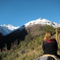 Valerie (@valerie76156613) 's Twitter Profile