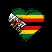 Citizens Against EU & US Interference in Zimbabwe(@CitizensAgains5) 's Twitter Profileg