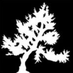 PGPIRG (@pgpirg) Twitter profile photo PGPIRG (@pgpirg) Twitter profile photo