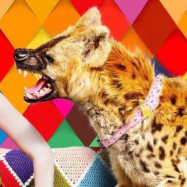 castileigh's profile picture. Sherlock🦄 Destiel 💕 Loki 🐍 Tony Stark ☀️ #goodomens 🍦HarryPotter ⚡️ ⛸ Yuri on ice 🍙 Doctor Who 🍐South African 🇿🇦 she/her